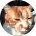 profil de Celine Bvt